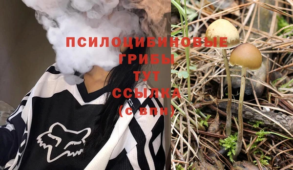 ALPHA PVP Арсеньев