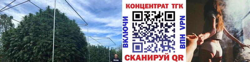 Дистиллят ТГК Wax  как найти   Судогда 